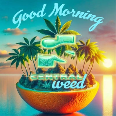 Central Station Weed Lamai product image