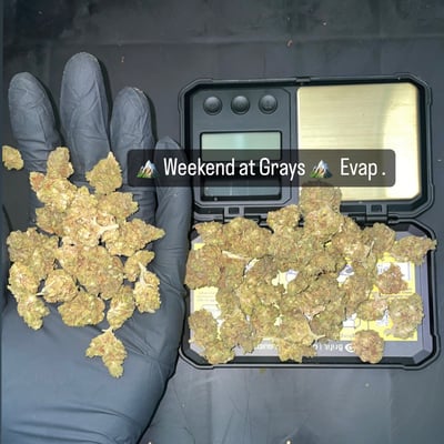 Weekend at Grays 