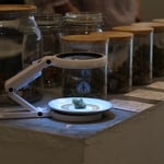 Alchemi Botanics Cannabis Weed Dispensary