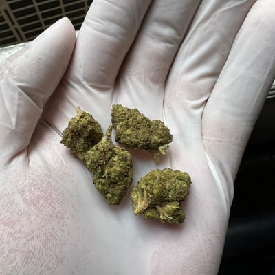 All Green Cannabis Weed shop and Delivery Bangkok 大麻公司, マリファナ, 대마초 product image