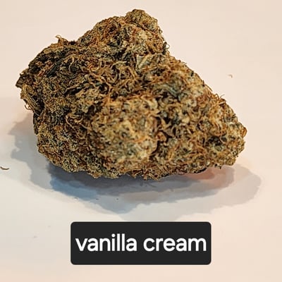 Vanilla cream flower