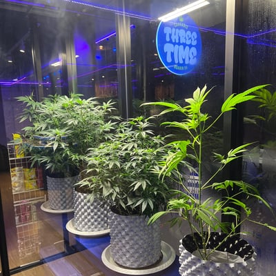 ร้านขายกัญชาThreetime Dispensary product image