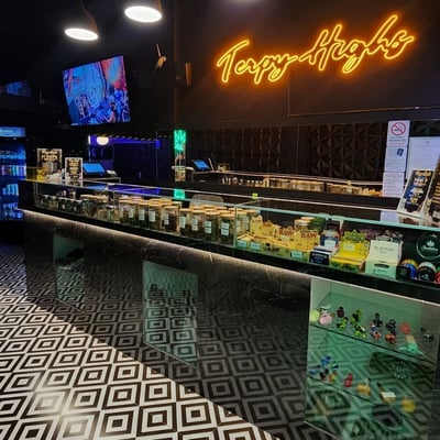 Terpy Highs Cafe & Lounge product image