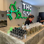 Cannabis Shop AMSTERDAM Patong