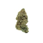 Jack Herer