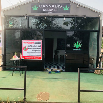 Cannabis Market