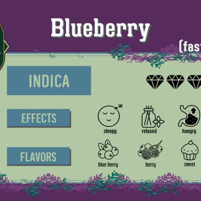 Blueberry