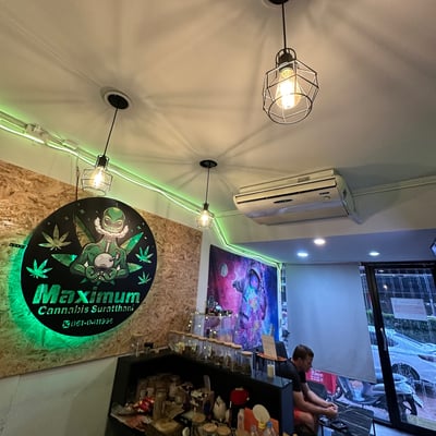 Maximum Cannabis Shop Weed In Suratthani product image