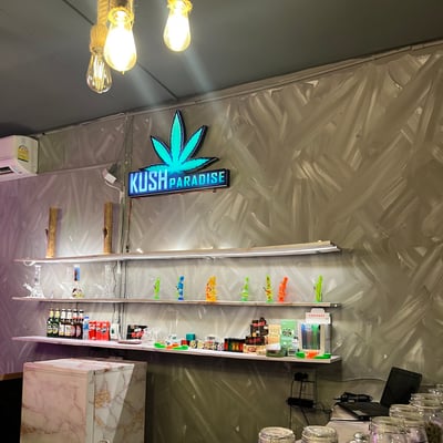 Kush Paradise Weed Cannabis Shop Cafe&Bar product image