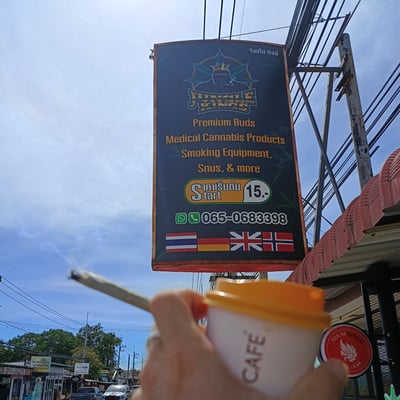 Jungle Kings Cannabis Bar Weed and Snus product image
