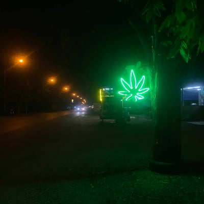 ร้านกัญชา one hit cannabis shop product image