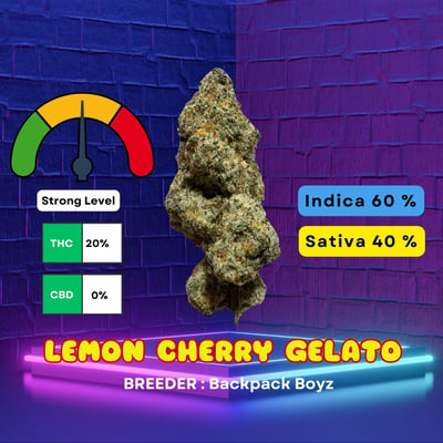Lemon Cherry Gelato : Backpack Boyz