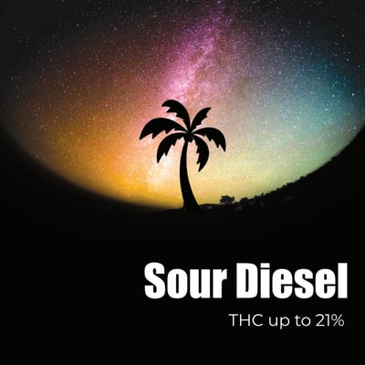 Sour Diesel​