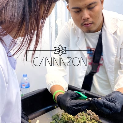 CANNAZON cannabis farm & weed dispensary product image