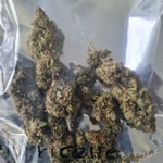 Neo Cannabis