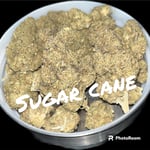 Sugar cane 