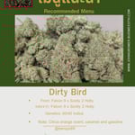 Dirty Bird : Exotic genetix