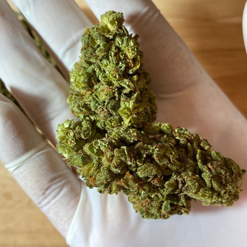 Super Lemon Haze (Sativa) Cannabis Flower at Plantation 420 in Bangkok -  Weed in Thailand