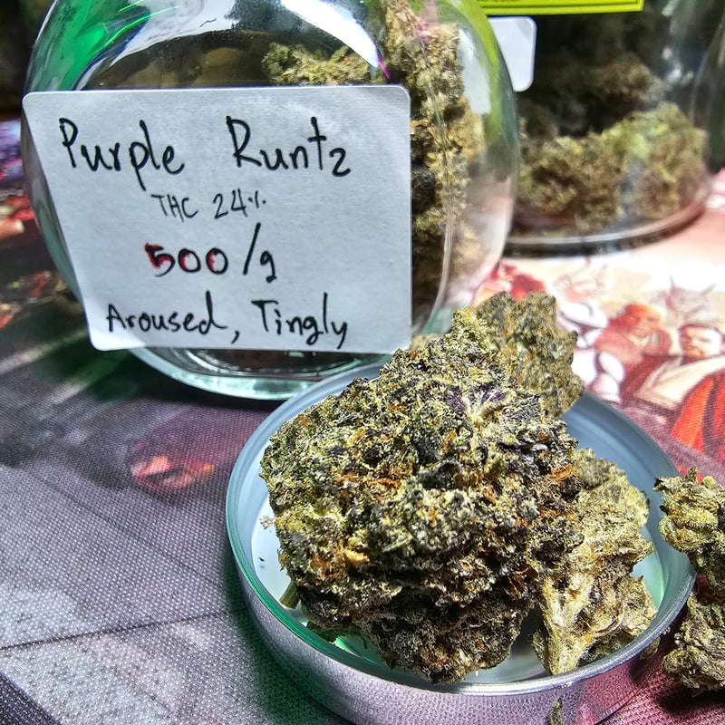 Purple Runtz Cannabis Flower at START WEED BY CHILL OUT in Phuket