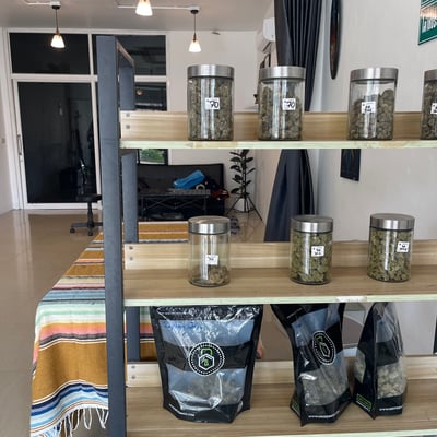 Budmarine product image