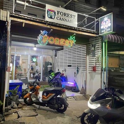 FOREST CANNABIS MAHASARAKHAM product image
