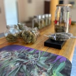 Triple Cannabis farm & coffeshop