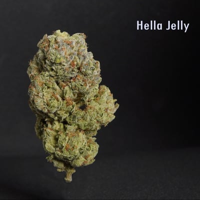 Hella Jelly