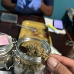 Rollingland Cannabis