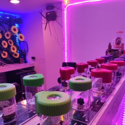 DANQ Cannabis Dispensary 大麻店 Chinatown product image