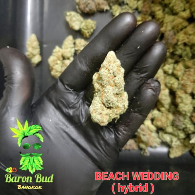 Baron Bud weed club product image