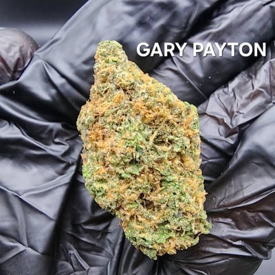 Gary payton