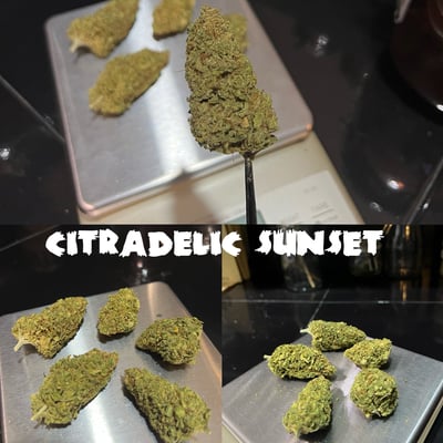 CITRADELIC SUNSET