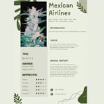 Mexican Airlines 
