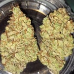 Buds kraft cannabis co