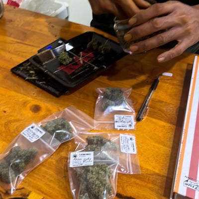 KT Farm Cannabis Shop Phatthalung