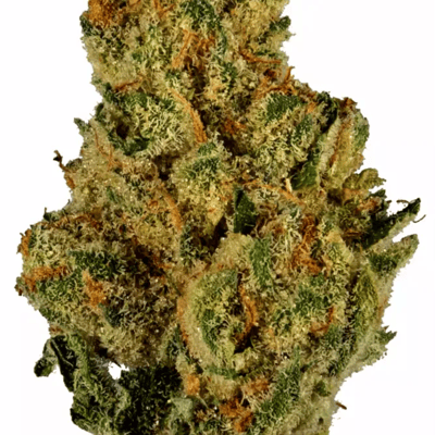 The Green กระท่อม กัญชา ลำปาง product image