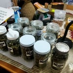 HIGH & ROLL Shop (Cannabis / Hemps / Weeds)