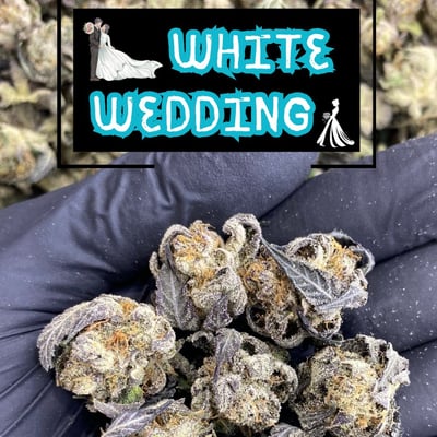 Untrimmed Flower - White Wedding