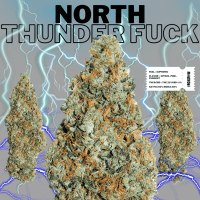 North ThunderFck
