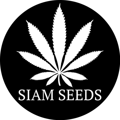Siam Seeds