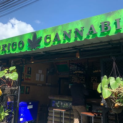 Mexico Cannabis product image
