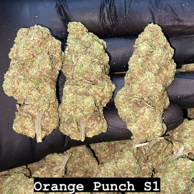 ไร่เดียว Cannabis Shop product image