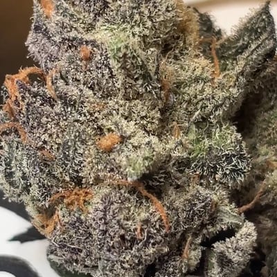 White Labs Cannabis Sriracha Chonburi indoor farm direct dispensary product image