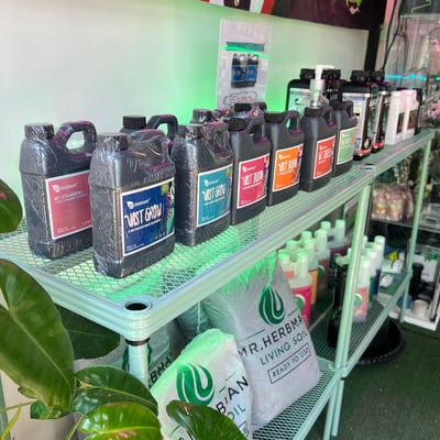 Channel Weed Store Rangsit (RSU) | ร้านขายดอกไม้ ม.รังสิต เมืองเอก รังสิต ปทุม | Cannabis dispensary product image