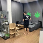 The Weed Shop - Cannabis Dispensary เดอะวีดชอป ร้านกัญชา