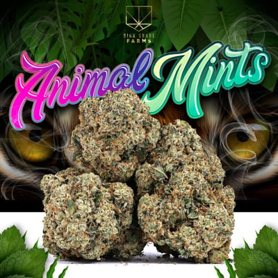 ANIMAL MINTS