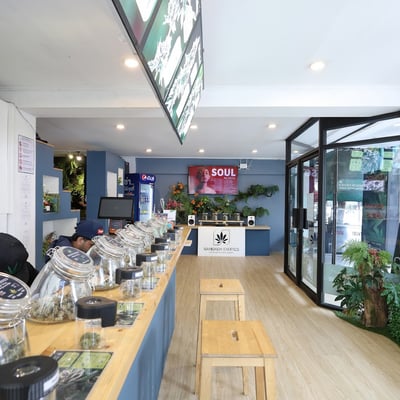 Bangkok Exotics Dispensary product image