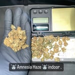 Amnesia Haze(Indoor)