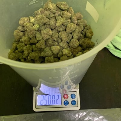 SLEEPWEED CANNABIS THAILAND Cafe’ product image