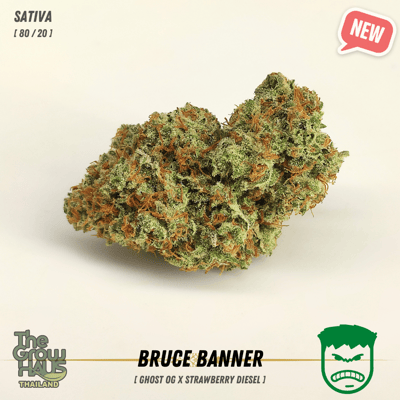 Bruce Banner